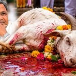 बकरीद का दिने बकरा कुर्बान