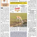खेती खातिर बहुत जरूरी होला ‘मृगडाह’