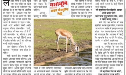 खेती खातिर बहुत जरूरी होला ‘मृगडाह’