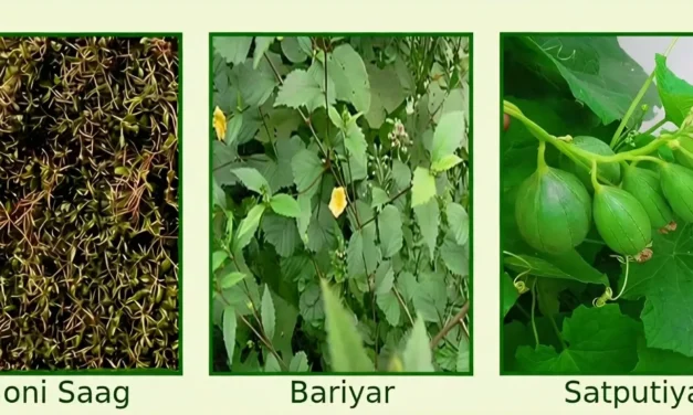 ए अरियार, त का बरियार